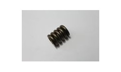 Ressort de Support d'Echappement Ferrari (111743)