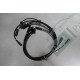 FAISCEAU ALLUMAGE DROIT FERRARI 400i (114464)