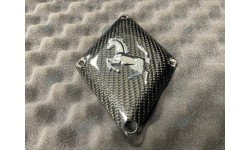 Couvercle de conduit en carbone Ferrari 360 (198215/A/U) (Occasion) (Adaptable)