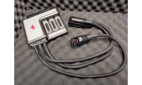 BRIGLIA PER ECU 7.1.1 FERRARI (95970309)