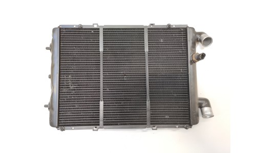 Radiateur d'eau (157590/R) (Reconditionné)