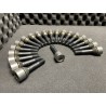 kit 20 boulons de roues en titane ferrari F430/California/FF (70001219)