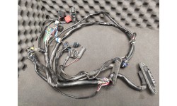 Faisceau Electrique de Porte Gauche Complet Ferrari 456 GT /GTA (153103/U) (Pièce Occasion)