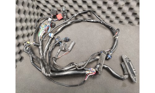 Faisceau Electrique de Porte Gauche Complet Ferrari 456 GT /GTA (153103/U) (Pièce Occasion)