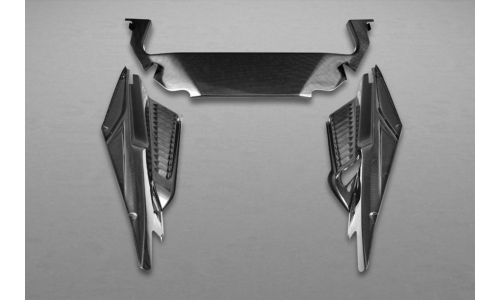 PANNEAU MOTEUR CARBONE FERRARI 458 G + D (CAPRISTO) (03FE00410009)